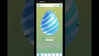 Рекомендую всем . Вся проверка будет в ТГ канале. #яйцеграмм #врекомендации #shorts