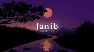'Janib (Duet)' ( Slowed And Reverb ) | Arijit Singh | Divyendu Sharma | Nexus Music