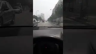 Tymi plehrave në fier.
