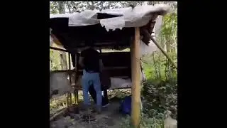 ketahuan sedang asik maen kuda-kudaan || tangung mas 😂