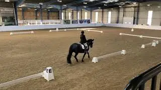 Intro C Dressage (62%) - December 2020