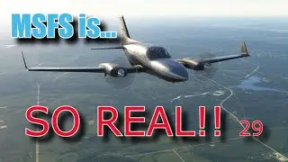 MSFS is... SO REAL!! 29
