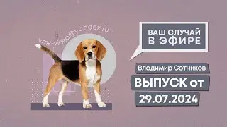 Ваш случай в эфире. Выпуск от 29.07.2024