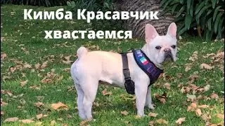 Хвастаемся какие мы молодцы /какаем и кушаем хорошо / Пёсик Красавчик