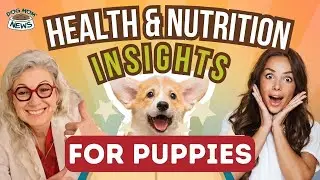 Puppy Nutrition Tips With Dr. Judy Morgan - A Dog Mom News Special