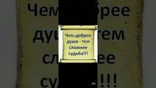 6 сентября 2024 г.