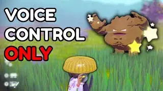 Catching a Shiny Pokemon without a Controller