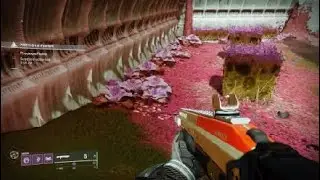 Destiny 2 hive lightbearer acolyte guardian