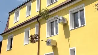 Reutlinger Ehepaar setzt auf innovative Fassadenbegrünung