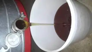 Mjalti