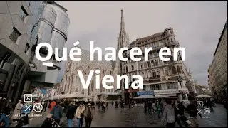 Qué hacer en Viena Parte 2 | Alan por el mundo Austria #8