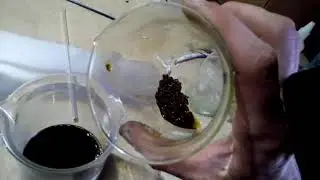 VideoShow 1559662764295 HD