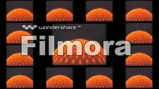 LogoFX: Walt Disney Home Video (1981 - )
