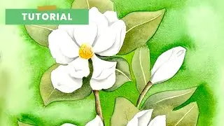 How to Paint Magnolia Flowers with Watercolor