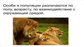 Биология. 11 класс. Популяция в экосистеме (2020)