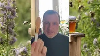 Україна на межі голоду! Війна забрала 15% бджіл!