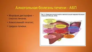 Заболевания печени 1 часть