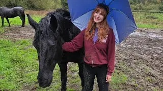 It's My Birthday - Dainty Rascal Celebrates at Heart of Gold Sanctuary 💛 