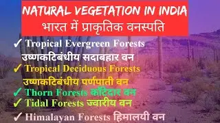 Natural Vegetation in India भारत में प्राकृतिक वनस्पति / उष्णकटिबंधीय सदाबहार /उष्णकटिबंधीय पर्णपाती