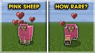 How Rare Is a PINK SHEEP In Minecraft? 🕹️