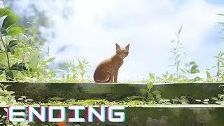 Stray (2022) PS5 4K Walkthrough - ENDING (Full Walkthrough)