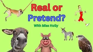 Child Learns Real or Pretend with Miss Holly
