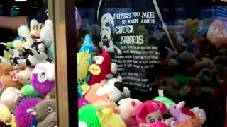 Claw Quest - The best day EVER