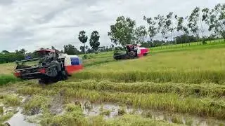 Super Operator Combine Harvester KubotaDC-70Plus Working Skills | Techniques AgricultureRevolution
