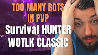 Too Many BOTS In PVP WOTLK CLASSIC - Survival Hunter PVP