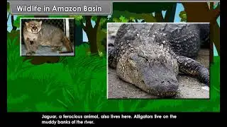 sst class 7 english medium ll Wild life Amazon basin ll #amazonbasin