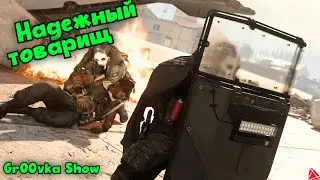 С такими друзьями .... в DMZ
