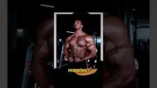 The Truth About Masculinity
