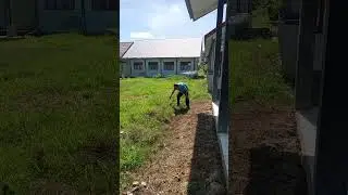 Contoh Guru Yang Baik