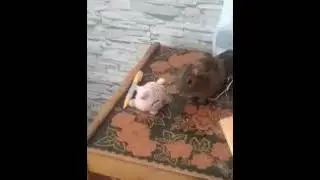 а можно мы с папой конфеты поедим