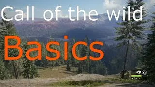 The Basics of The Hunter Call of The Wild
