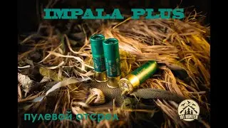 Impala plus отстрел пулями