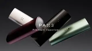 PAX3