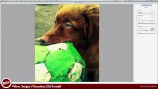 Photoshop CS6: Oil Painting Tutorial