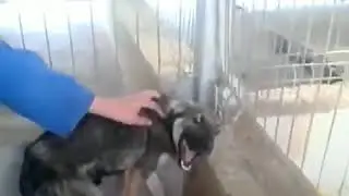 Тик ток тренды