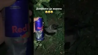 Редбул окрыляет😂