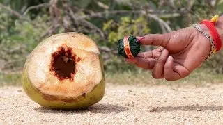 💥Atom Bomb💣Vs Coconut | Indian Crackers Experiment