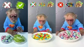 Eat fruit sticker order