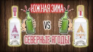 Водка TUNDRA «Морошка» vs «Брусника». Дегустация и сравнение ягодных водок ТУНДРА. Женя Пьет#28