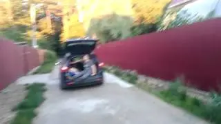 Субботний шалман