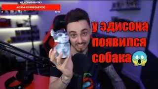 у эдисона появился  собака 😱