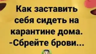 Как заставить себя сидеть дома на карантине? Сбрейте брови)