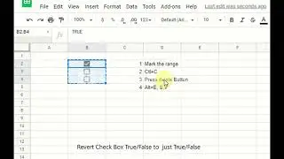 Revert CheckBox To Just True False