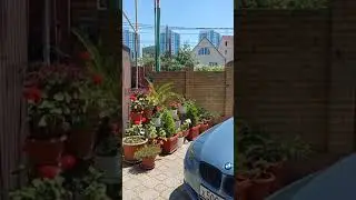 Обзор гостевого дома Адлер Просвещения.