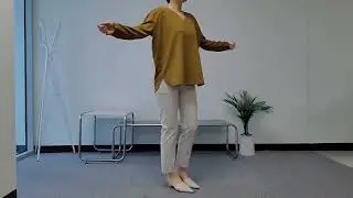V collar Loose Fit blouse MT2306636