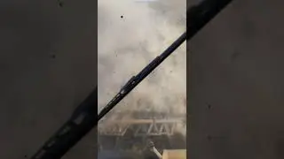 4 ноября 2023 г.